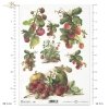 strawberry, strawberrys, strawberry fruit, strawberry bush, fruit, R394
